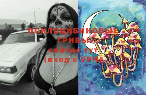 молекула духа Богородицк