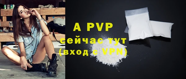 apvp Белокуриха
