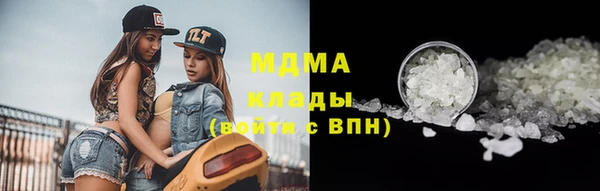 молекула духа Богородицк