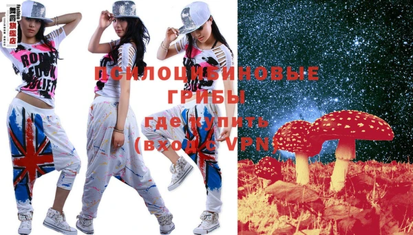 молекула духа Богородицк