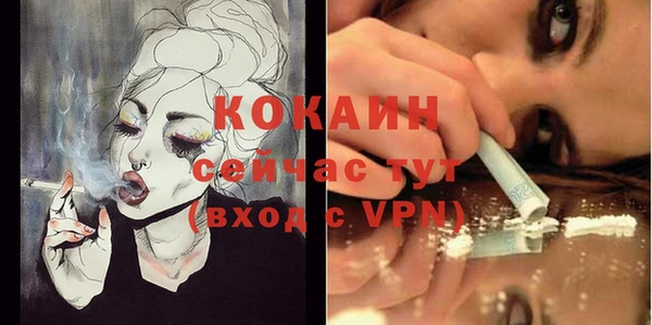 молекула духа Богородицк