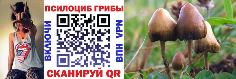 Псилоцибиновые грибы Cubensis  Назарово 